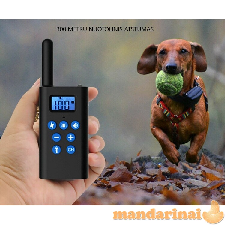 Pakraunama vandeniui atspari dresavimo sistema