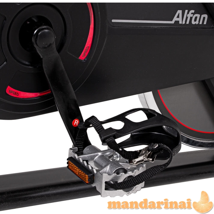 Dviratis inSPORTline Alfan