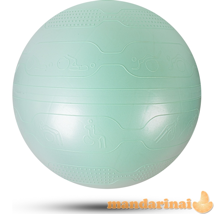 Exercise Ball inSPORTline Stretch Ball 65 cm w/ BallBase