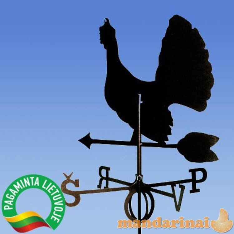 Vėjarodis ,,Kurtinys