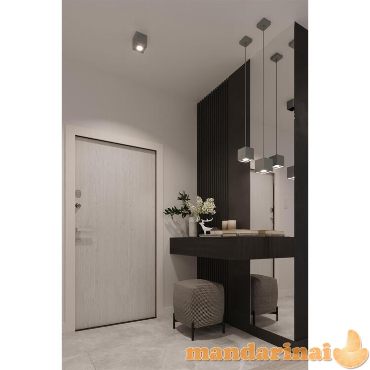 Lubinis šviestuvas QUAD1 pilka