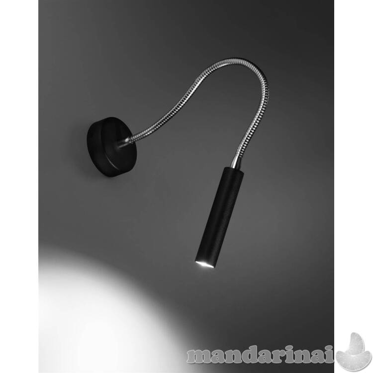 Sieninis šviestuvas ašinis juodas