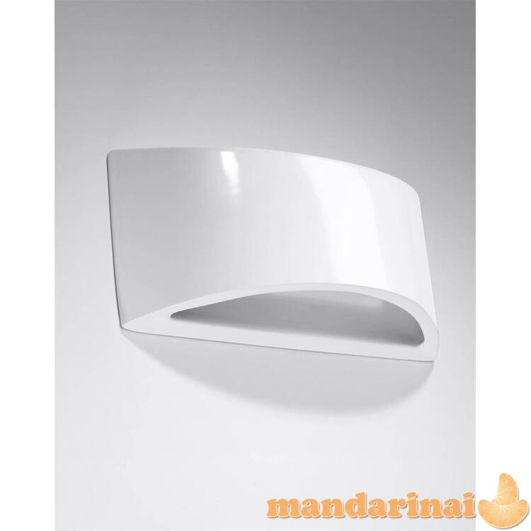 Lakuotas sieninis lemputė, baltas blizgesys 1