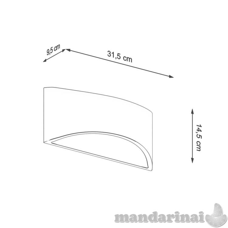 Lakuotas sieninis lemputė, baltas blizgesys 3