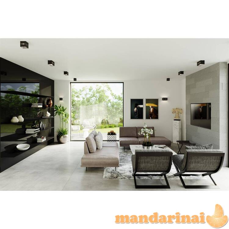 Lubinis šviestuvas lobo 2 juodas