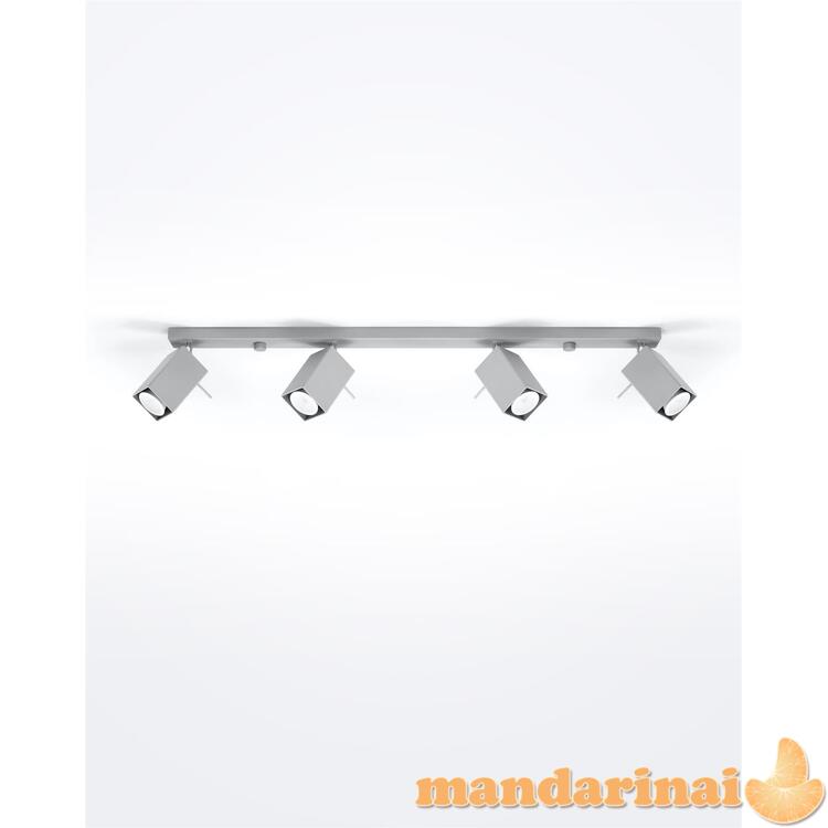 Šviestuvas MERIDA 4L pilkos spalvos 1