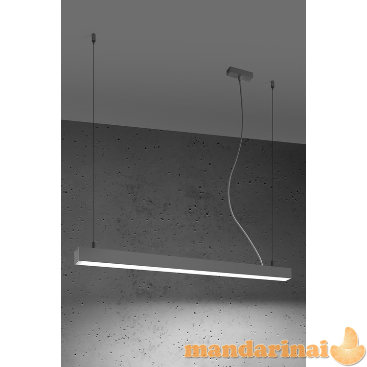 Pakabinama lempa PINNE 90 pilkos spalvos