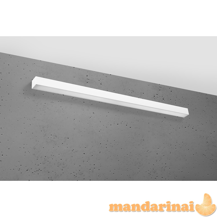 Sieninis šviestuvas PINNE 117 balta