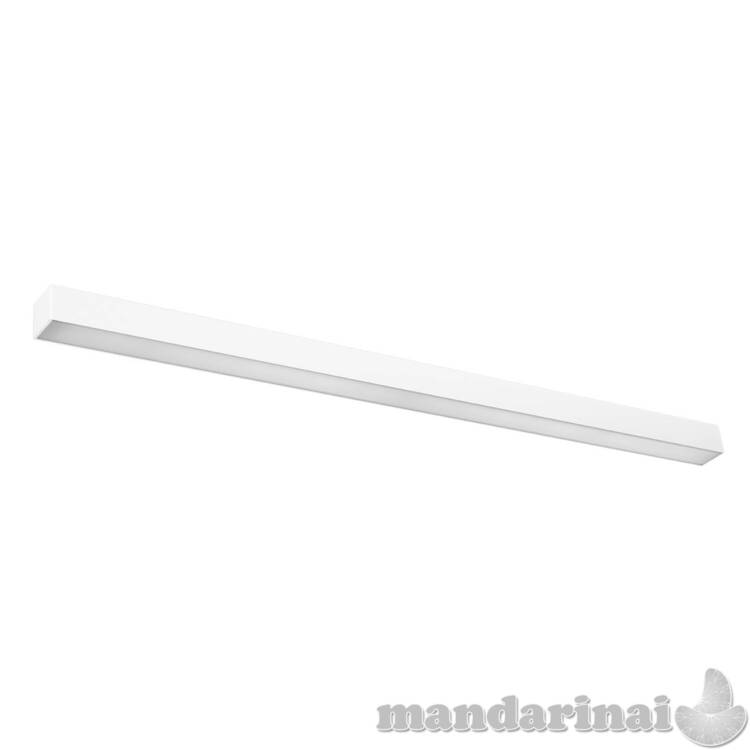 Sieninis šviestuvas PINNE 117 balta