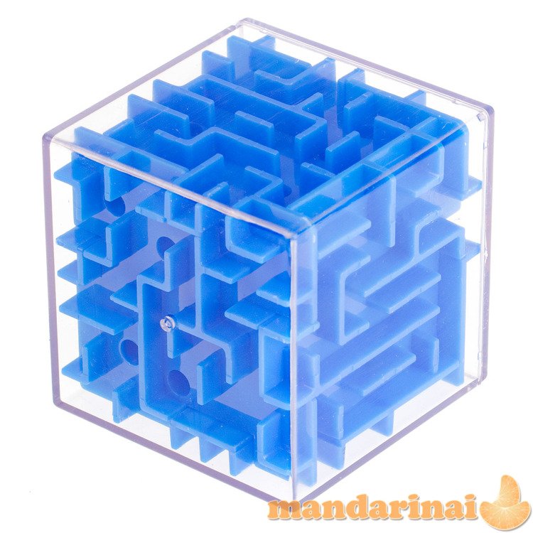 3D Galvosūkis kubas labirintas
