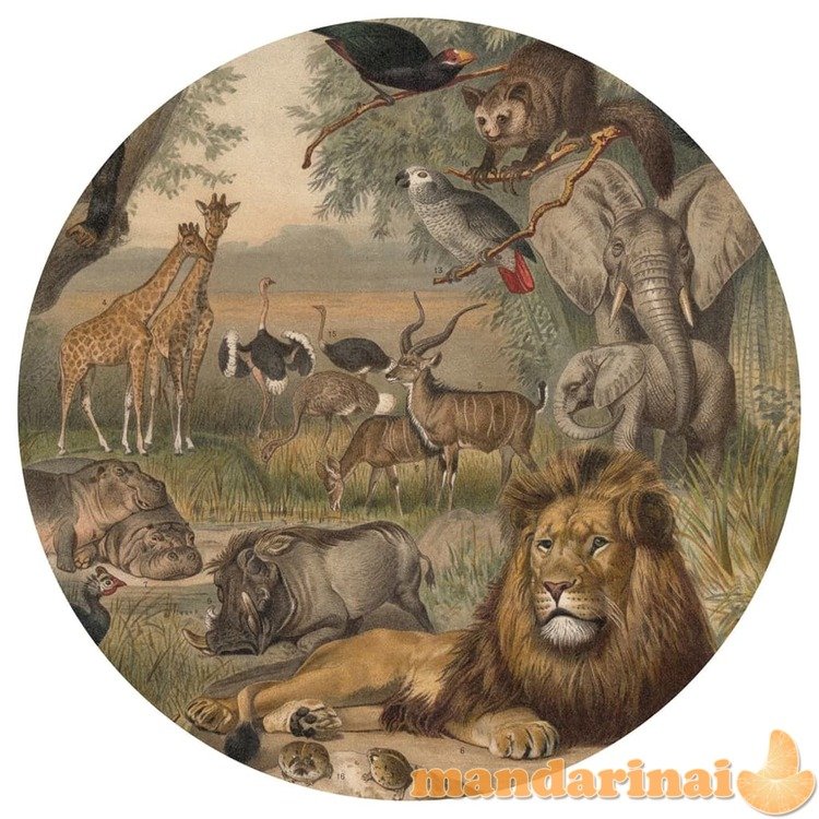 Wallart tapetai animals of africa, 142,5cm, apskriti