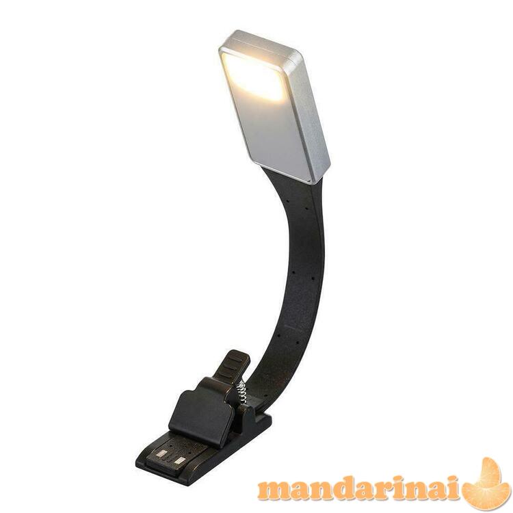 Pakraunama skaitymo lemputė