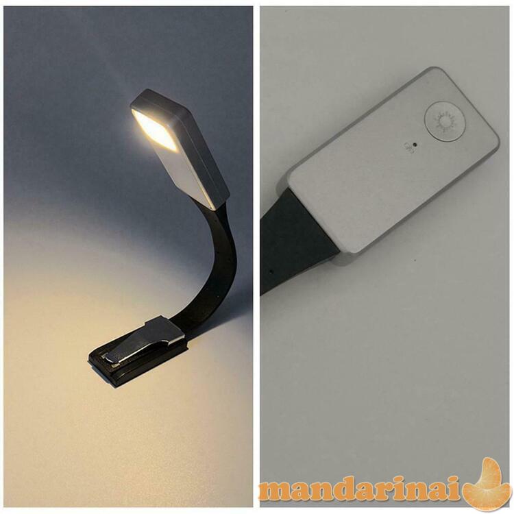 Pakraunama skaitymo lemputė