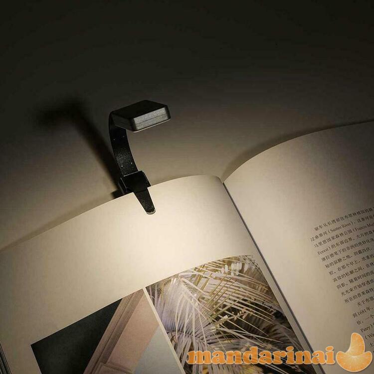 Pakraunama skaitymo lemputė