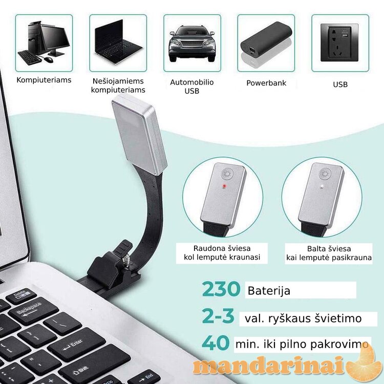 Pakraunama skaitymo lemputė