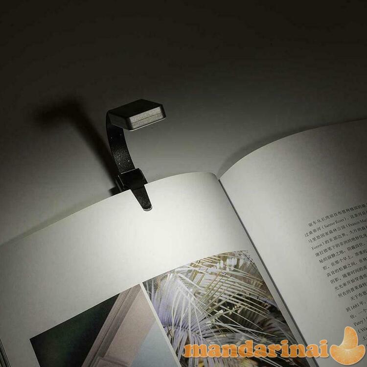 Pakraunama skaitymo lemputė