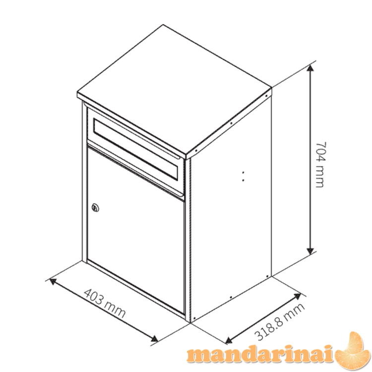 SIUNTINIŲ PAŠTO DĖŽUTĖ