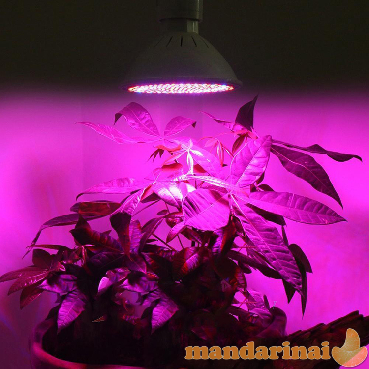 Pilno spektro 24W lempa augalams auginti