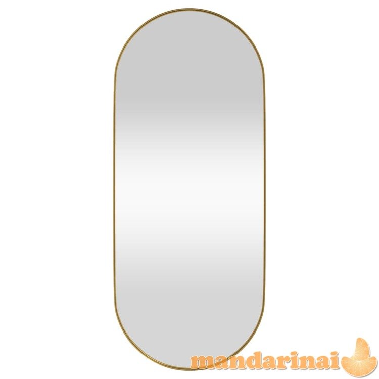 Prie sienos montuojamas veidrodis, auksinis, 25x60cm, ovalus