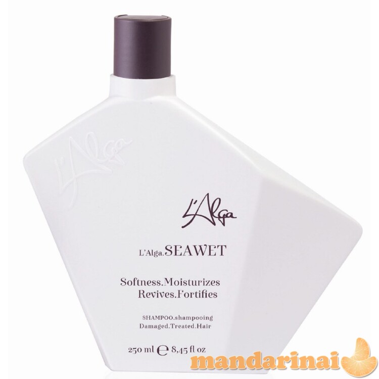 Atstatomasis šampūnas plaukams, 250 ml 