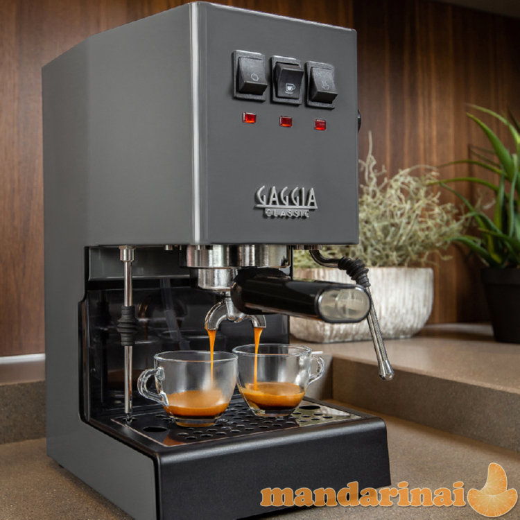 Kavos aparatas Gaggia Classic Evo 