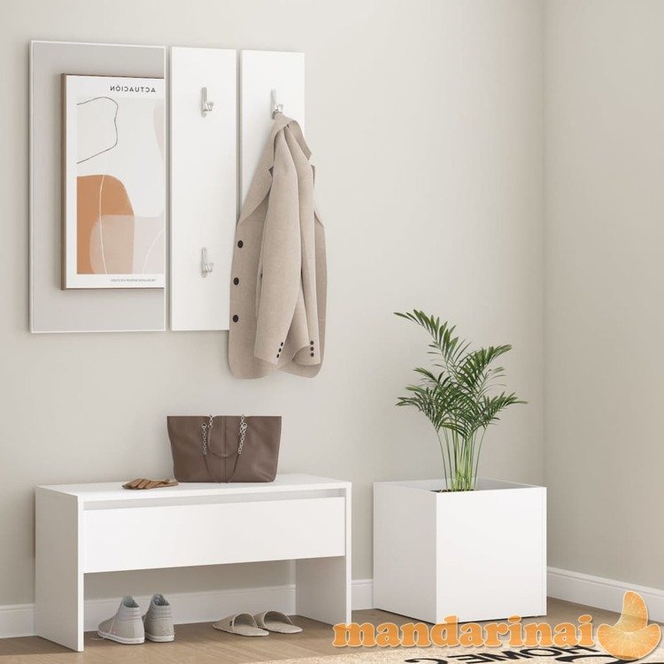 Koridoriaus baldų komplektas, baltos spalvos, apdirbta mediena