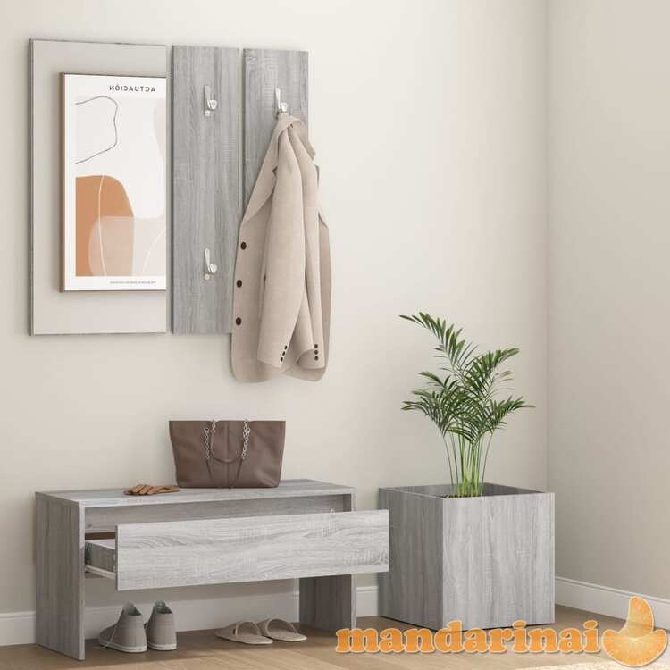 Koridoriaus baldų komplektas, pilkas ąžuolo, apdirbta mediena