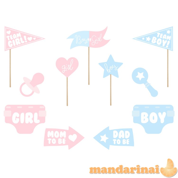 Photo props Gender reveal party, mix (1 pkt / 11 pc.)