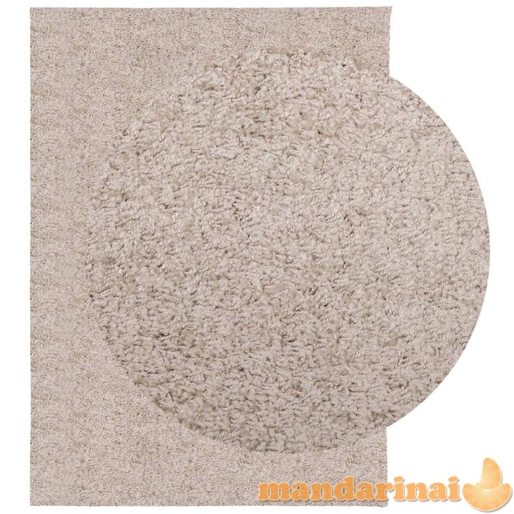 Shaggy tipo kilimas, smėlio spalvos, 240x340cm, aukšti šereliai