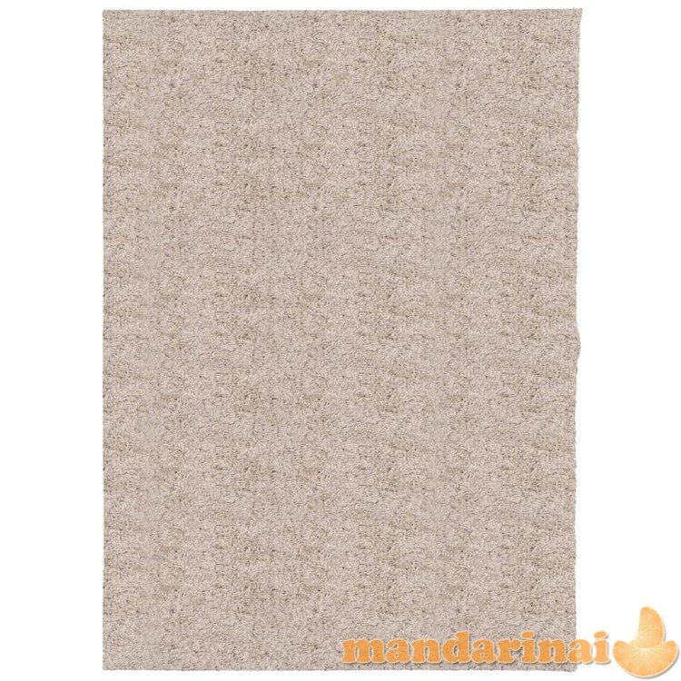 Shaggy tipo kilimas, smėlio spalvos, 240x340cm, aukšti šereliai