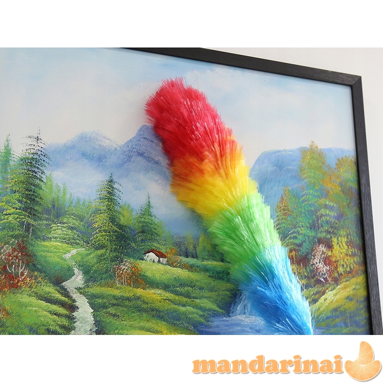 "Magic Duster" dulkių šluota ilgu kotu