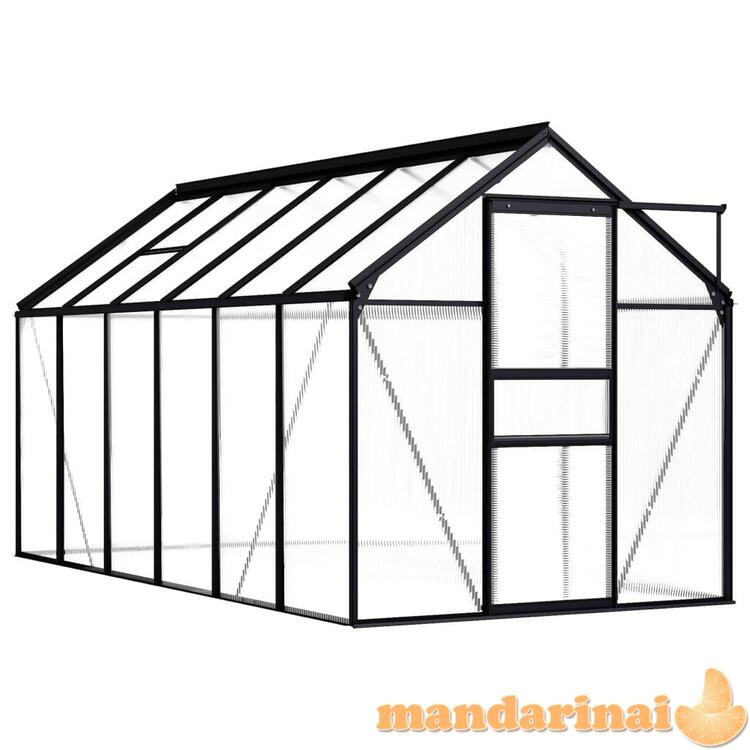 Šiltnamis, antracito spalvos, aliuminis, 7,03m²  1