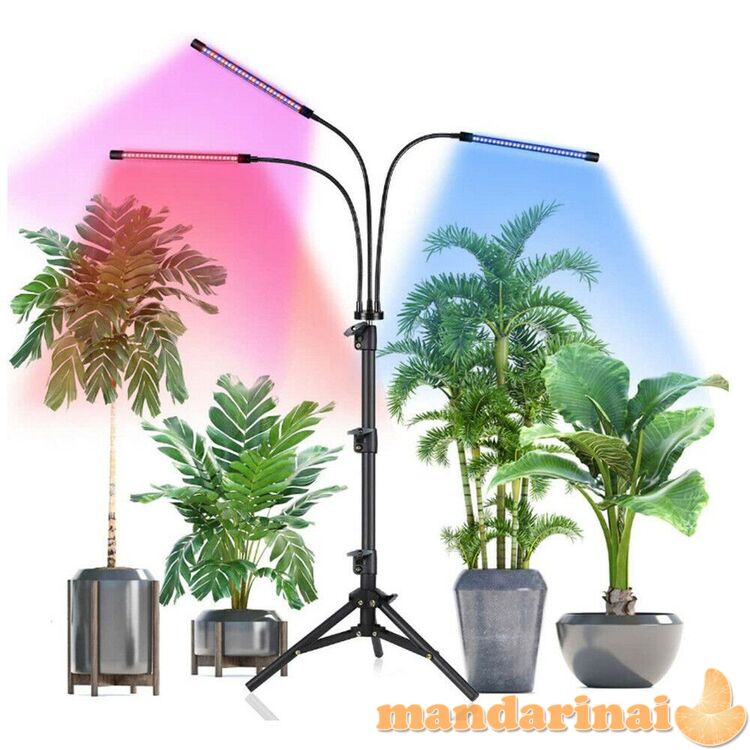 Programuojamas trigubas šviestuvas augalams su stovu