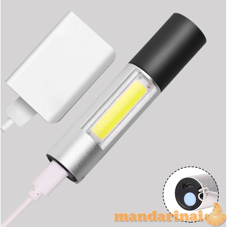 Pakraunamas mini prožektorius su dėžute