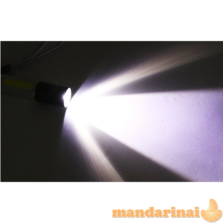 Pakraunamas mini prožektorius su dėžute