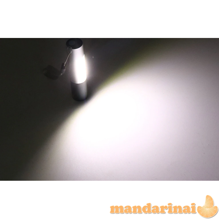 Pakraunamas mini prožektorius su dėžute