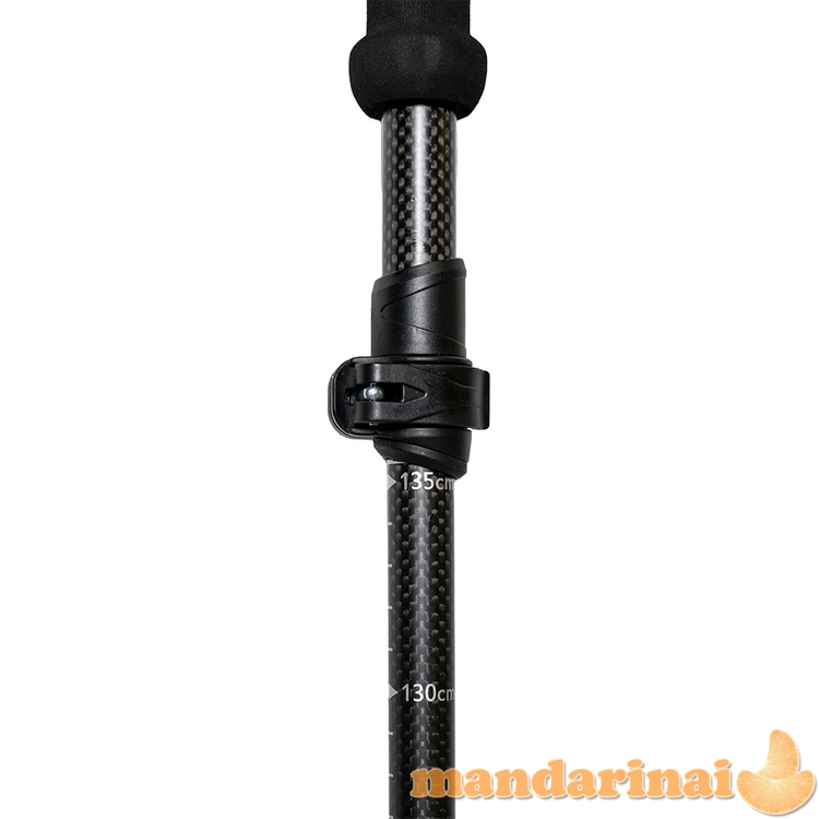 5-Piece Carbon Trekking Poles inSPORTline Caretera