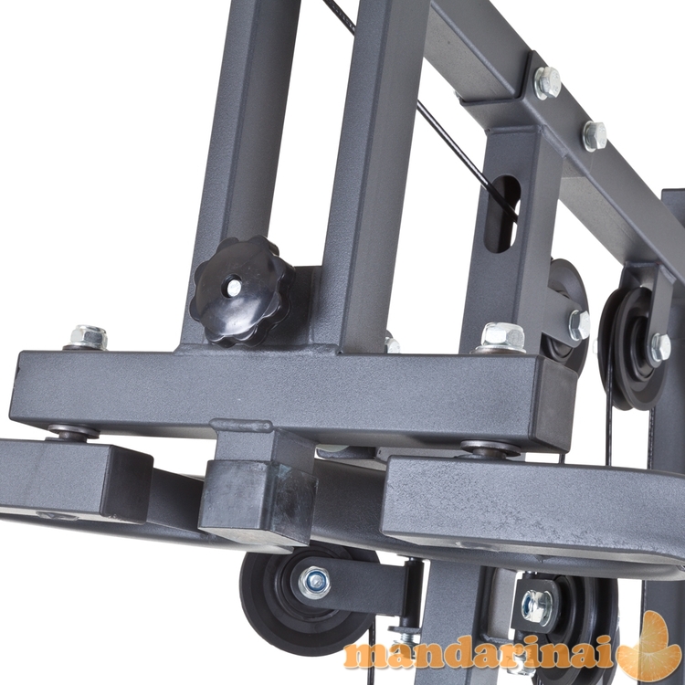 Multifunkcinis treniruoklis inSPORTline ProfiGym N10