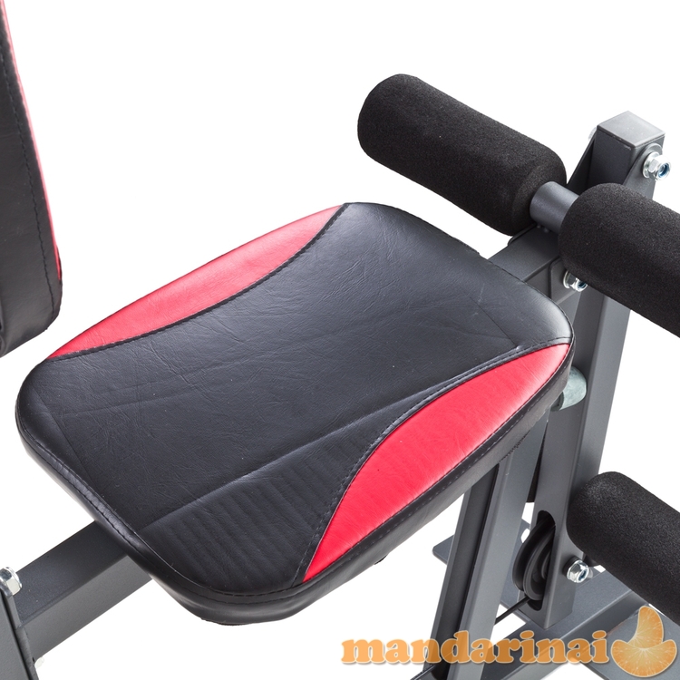 Multifunkcinis treniruoklis inSPORTline ProfiGym N10