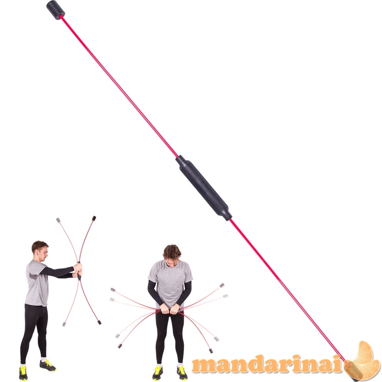 Lanksti lazda inSPORTline Strong