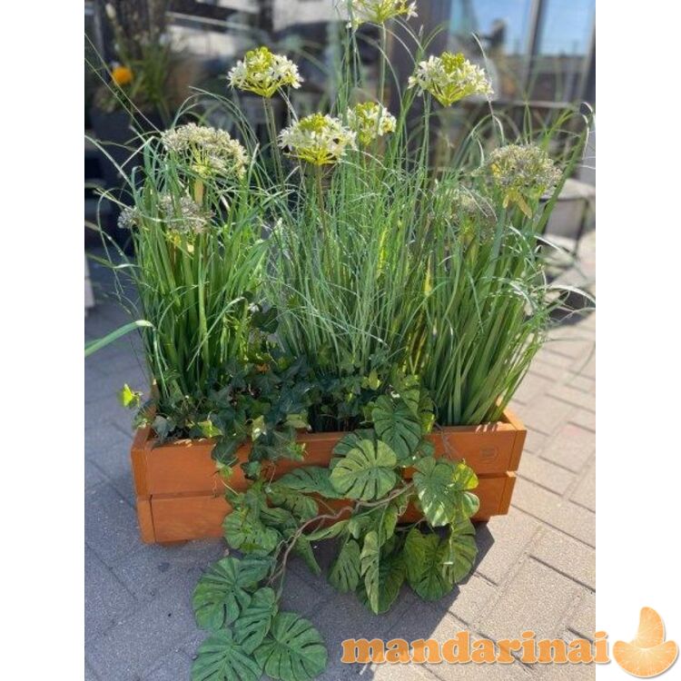 Medinis rudas vazonas