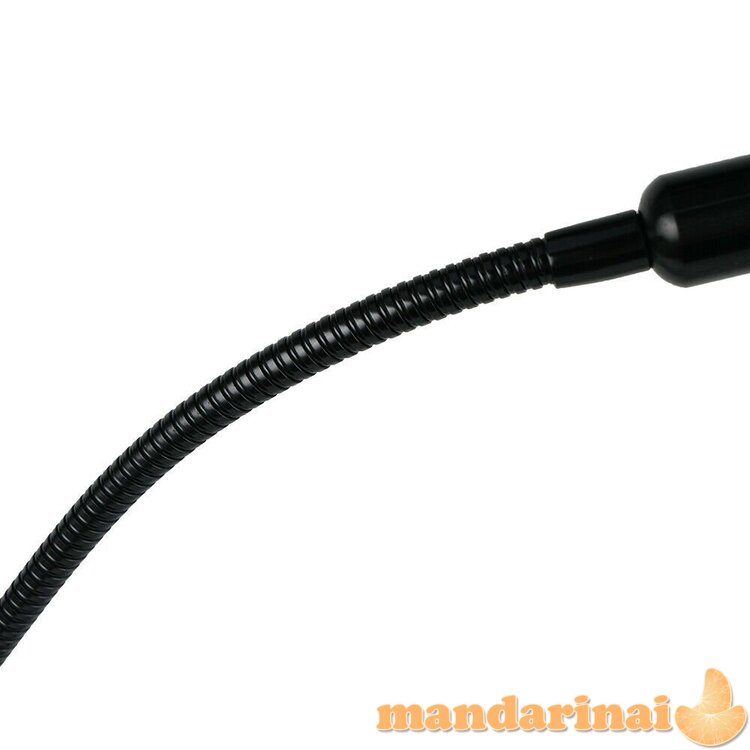 PROGRAMUOJAMA TRIGUBA PILNO SPEKTRO LEMPA AUGALAMS SU TVIRTINIMU