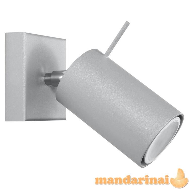 Sieninis šviestuvas žiedas 1 pilkas 2