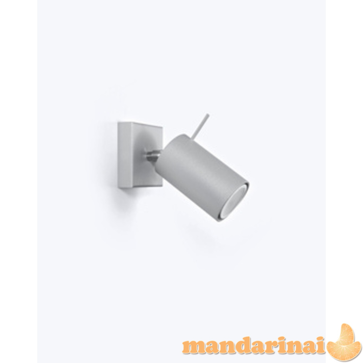 Sieninis šviestuvas žiedas 1 pilkas 8