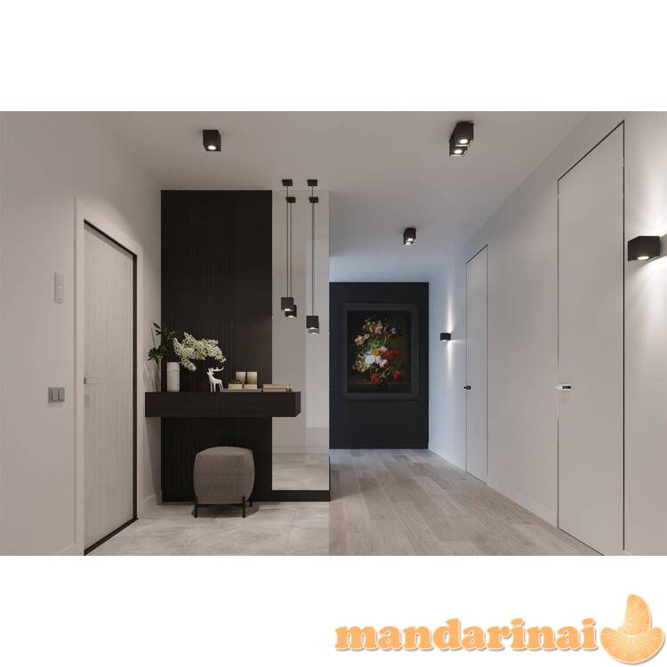 Sieninis šviestuvas QUADjuodas