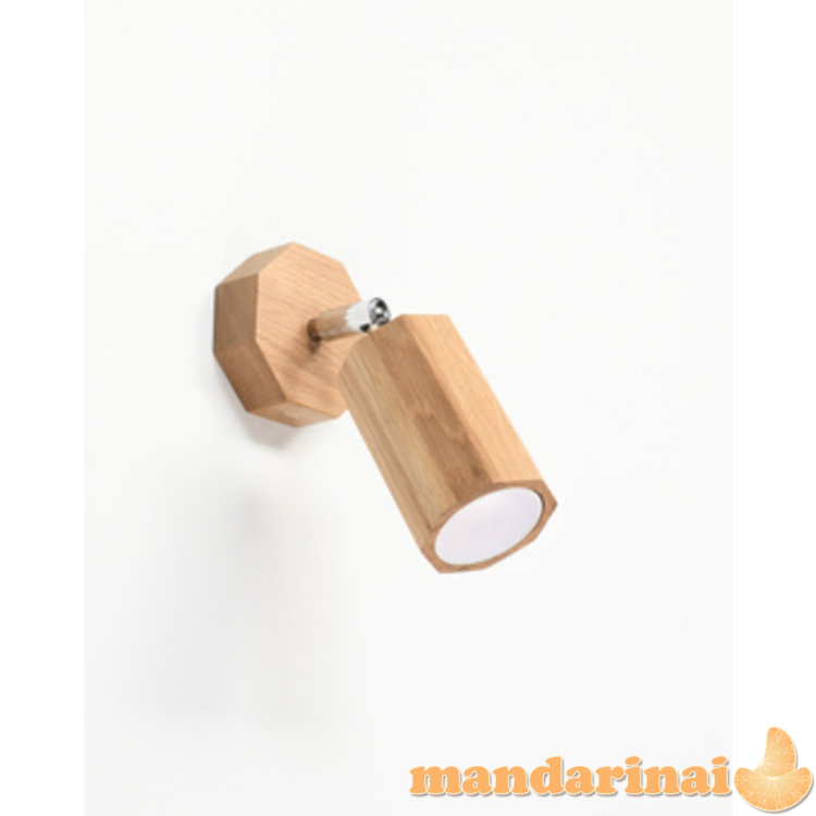 Sieninis lemputė zeke ąžuolas