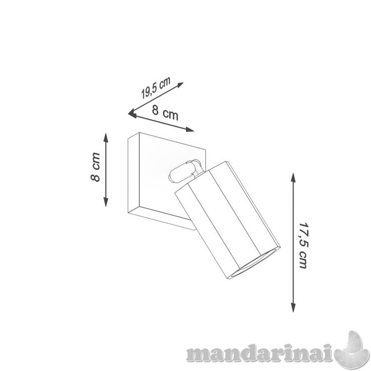 Sieninis lemputė zeke ąžuolas