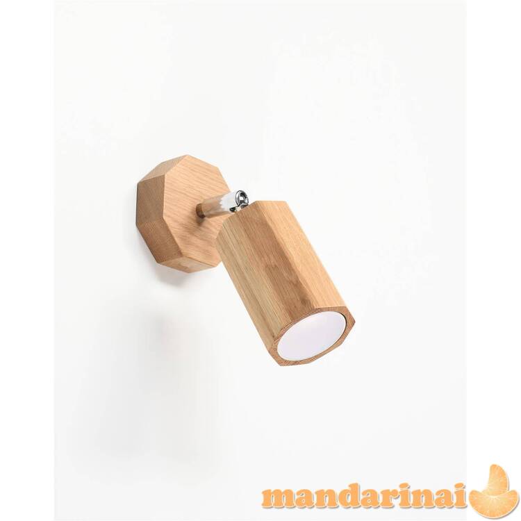 Sieninis lemputė zeke ąžuolas