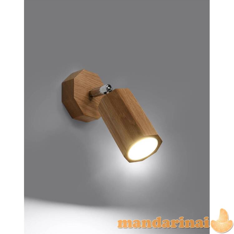 Sieninis lemputė zeke ąžuolas