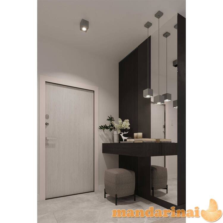 Pakabinama lempa QUAD1 pilka 3